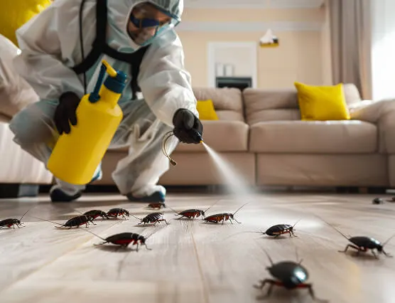 Pest control technicians serving homes across Mumbai