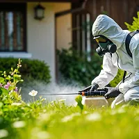 Step 3: Safe, targeted pest treatment