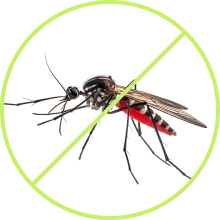 Home protected after professional pest treatment