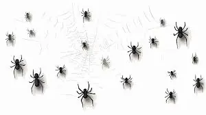 Spider web removal during pest control service